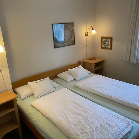 Apartment Ferienwohnanlage Nowo Nowo Whg 06 Born